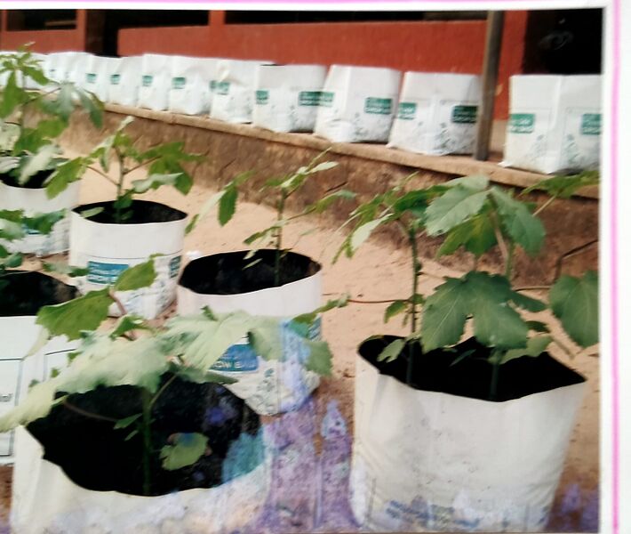 പ്രമാണം:36053 161.jpeg