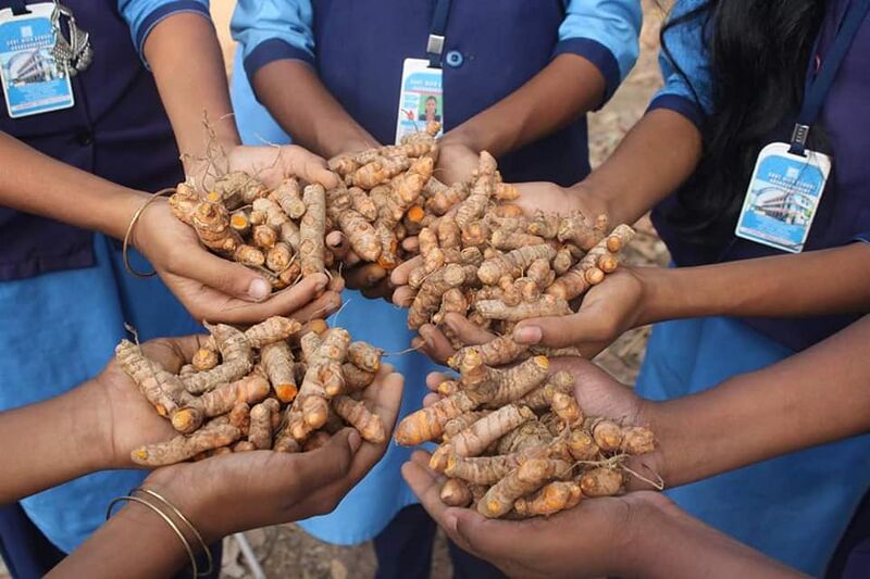 പ്രമാണം:42021 9010.jpg