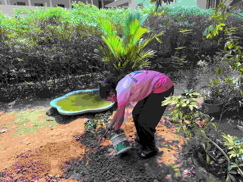 പ്രമാണം:44029 2316.jpg