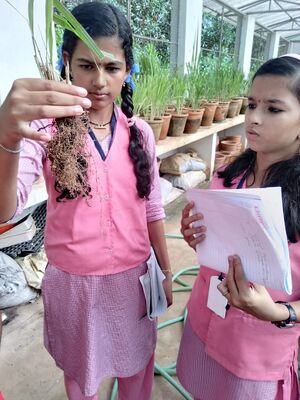 44049 science project.jpg