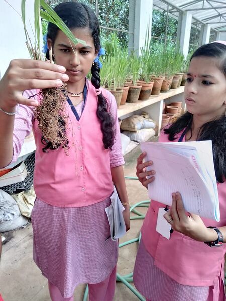 പ്രമാണം:44049 science project.jpg