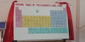 44050 2020 4 318.jpg