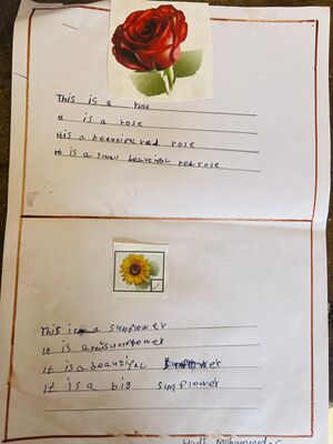 48244-MLP-KUNJ-HADI MUHAMMED.jpg