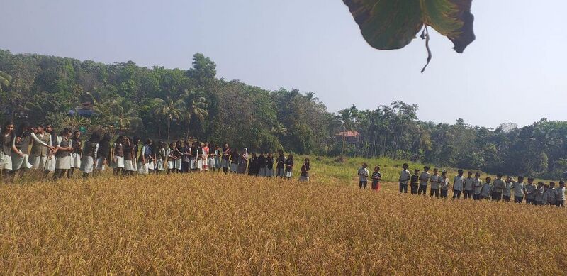 പ്രമാണം:48554 koythu1.jpg