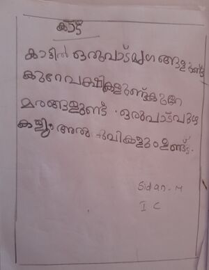 48560-MLP-KUNJ-SIDAN .jpg