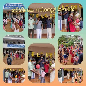 BS21 MLP 18415 3.jpg