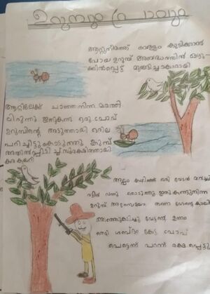 24066-TSR-MUHAMMED OMER.jpg