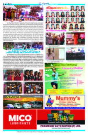 26064n4.jpg