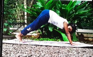 29312 healthclub22.jpeg