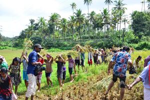 29312 koithulsavam13.jpeg