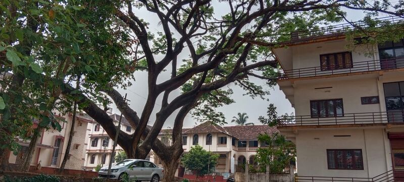 പ്രമാണം:33025 hs3.jpeg