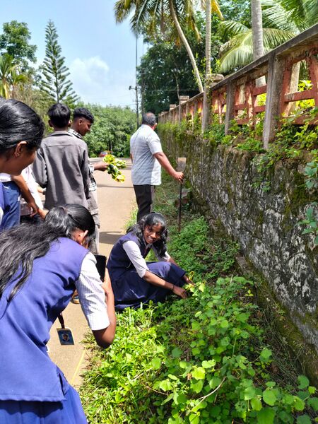പ്രമാണം:33026 cleaning.jpg