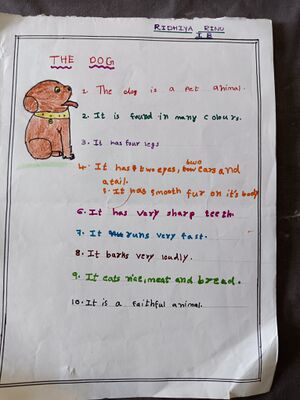 44517 description.jpg