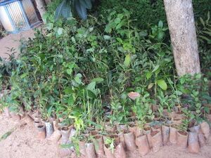 ENVIRON12 35052 3.jpg