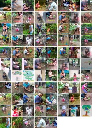 Environmental Day celin tr.jpeg