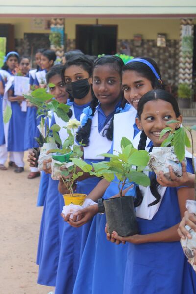 പ്രമാണം:Environmentalday 35052 2023a (1).jpeg