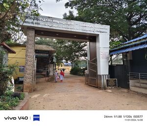 IMG 20241101 160844.resized.jpg