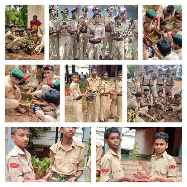 പ്രമാണം:June 5 acivity 2024-25.jpg