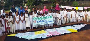 Ps22 mlp 19840 1.jpg