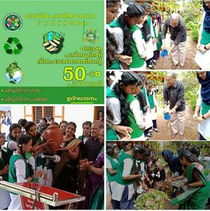 World Environment day school activities