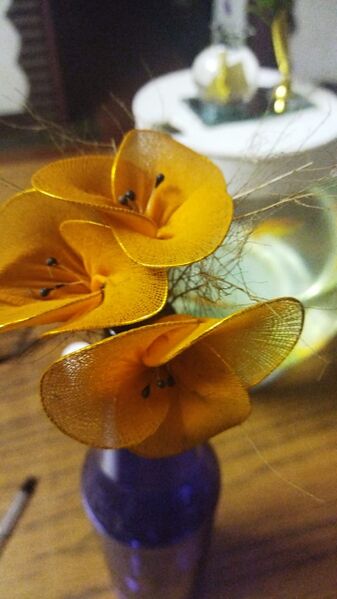 പ്രമാണം:13055 521.jpeg