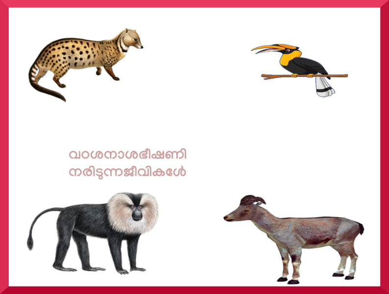 പ്രമാണം:13919Species.png