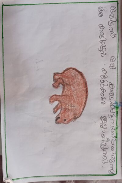 പ്രമാണം:14845-KNR-KUNJ-FATHIMA RIZWA1.jpg