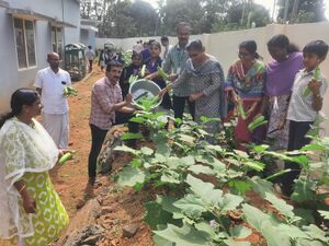 15088 veg vilavedupp 4 24.jpg