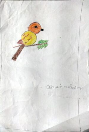 16337-KKD-KUNJ-MUHAMMAD HABEEB.jpeg