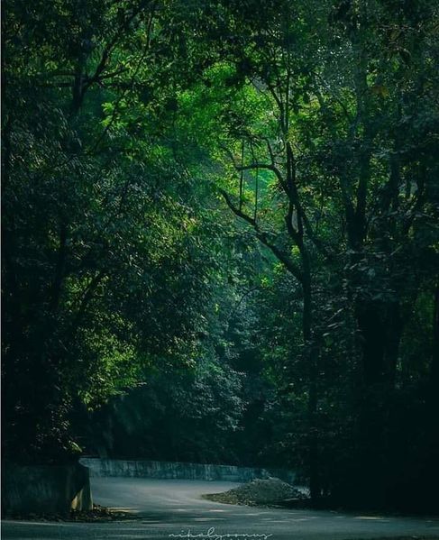 പ്രമാണം:19051 tar28.jpg