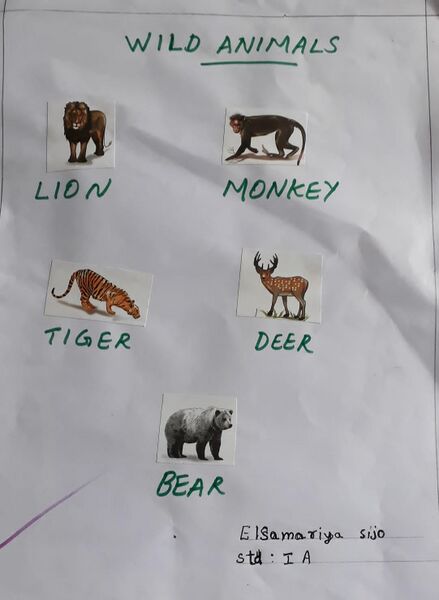 പ്രമാണം:23504-TSR-KUNJ-ELSA MARIYA -.jpg