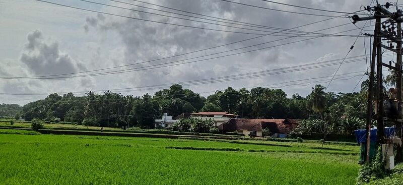 പ്രമാണം:24004 Greenery.jpg