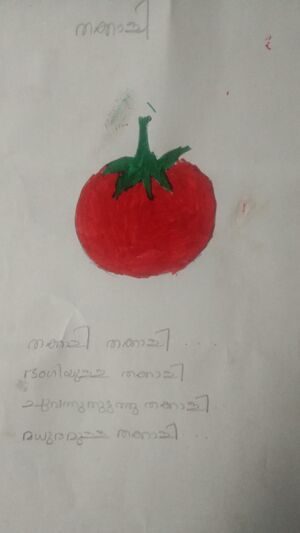 24349-TSR-KUNJ-sayika c s.jpg