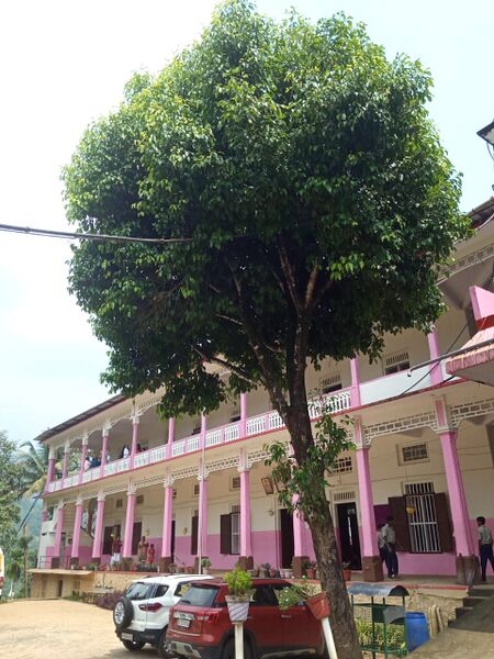 പ്രമാണം:32015 SCHOOL photo2.JPEG