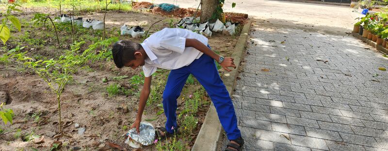 പ്രമാണം:Dryday 35052 23 (4).jpg