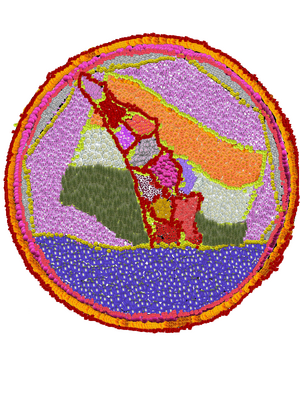 Pookkalamvpmhss44016 1.png