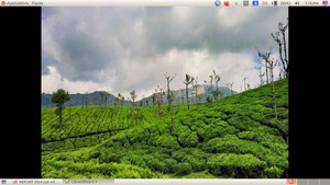 21537-vignesh.png