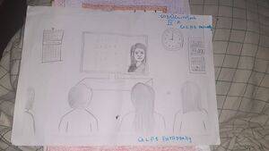 31509-pic9 Gouri Praveen.jpg