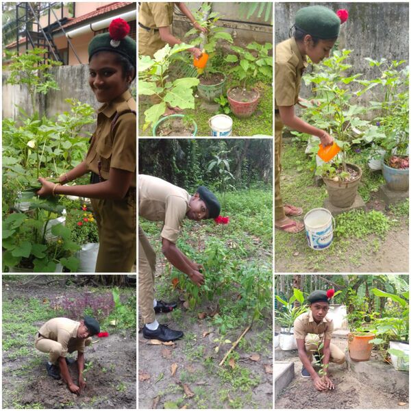 പ്രമാണം:35044 NCC.1.jpg