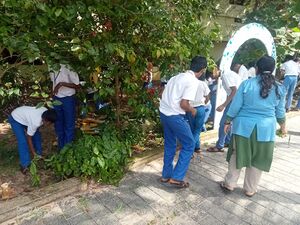 35052 cleaning 1.jpg