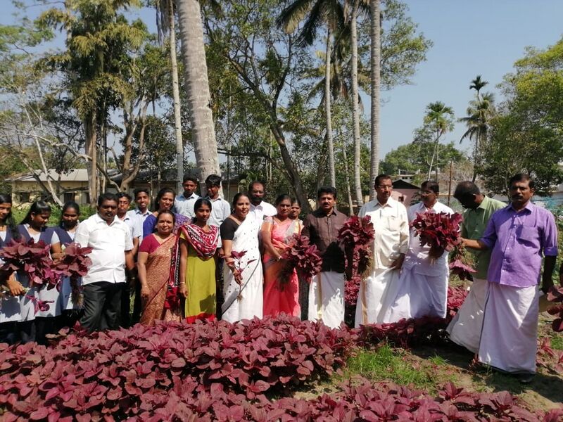 പ്രമാണം:35063-agri 4.jpg