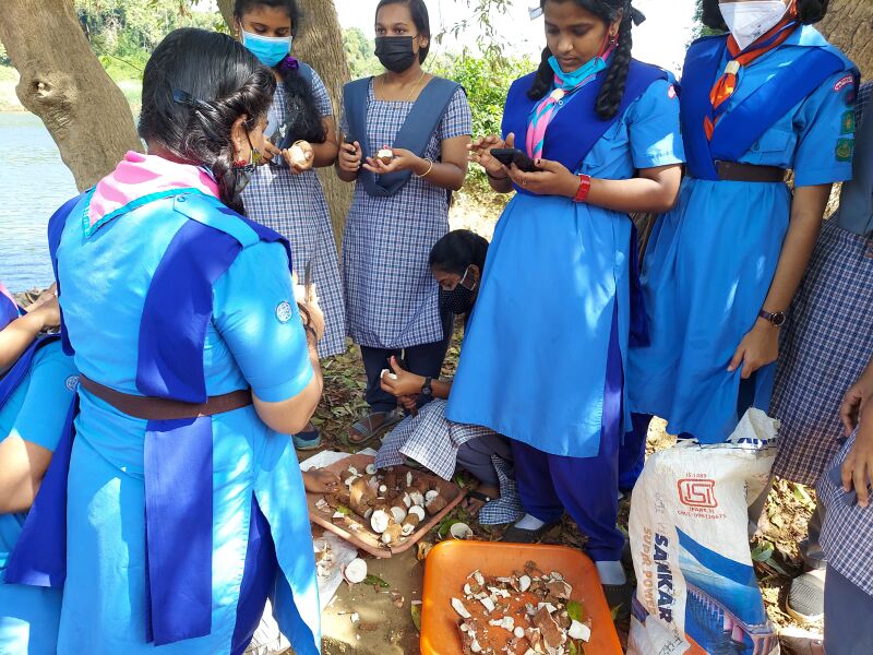 പ്രമാണം:37001 sg32.jpeg