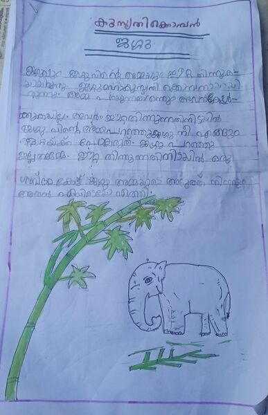 പ്രമാണം:42432-TVM-KUNJ-Akshay A S.jpg