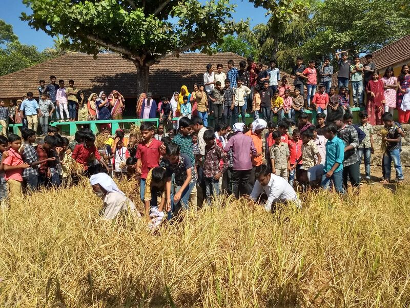 പ്രമാണം:42560 കരനെൽകൃഷി.jpg