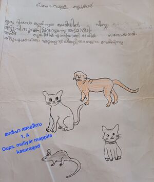 1146-KGD-KUNJ- MANHA ALEEZA.jpg