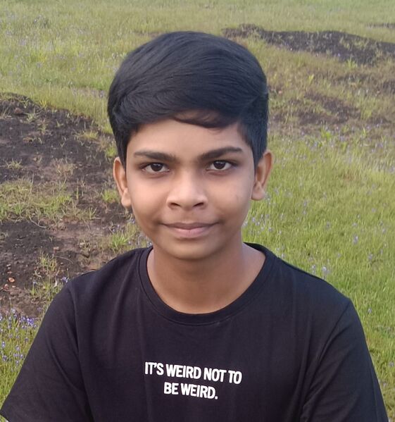 പ്രമാണം:13000 Ashlin.jpg