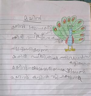 18528-MLP-KUNJ-Muhammed Aydin V.jpg