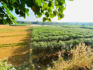 19824 entegramam kalpathi.jpeg