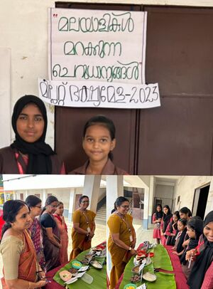 20047-millet (1).jpg