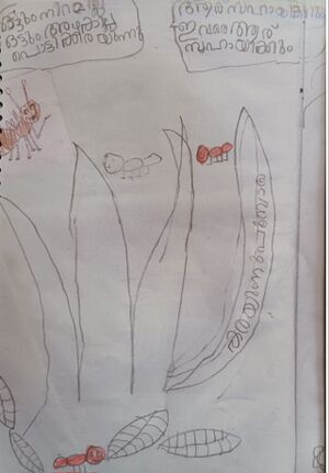 22429-TSR-KUNJ-ADHAN FRANK.jpg